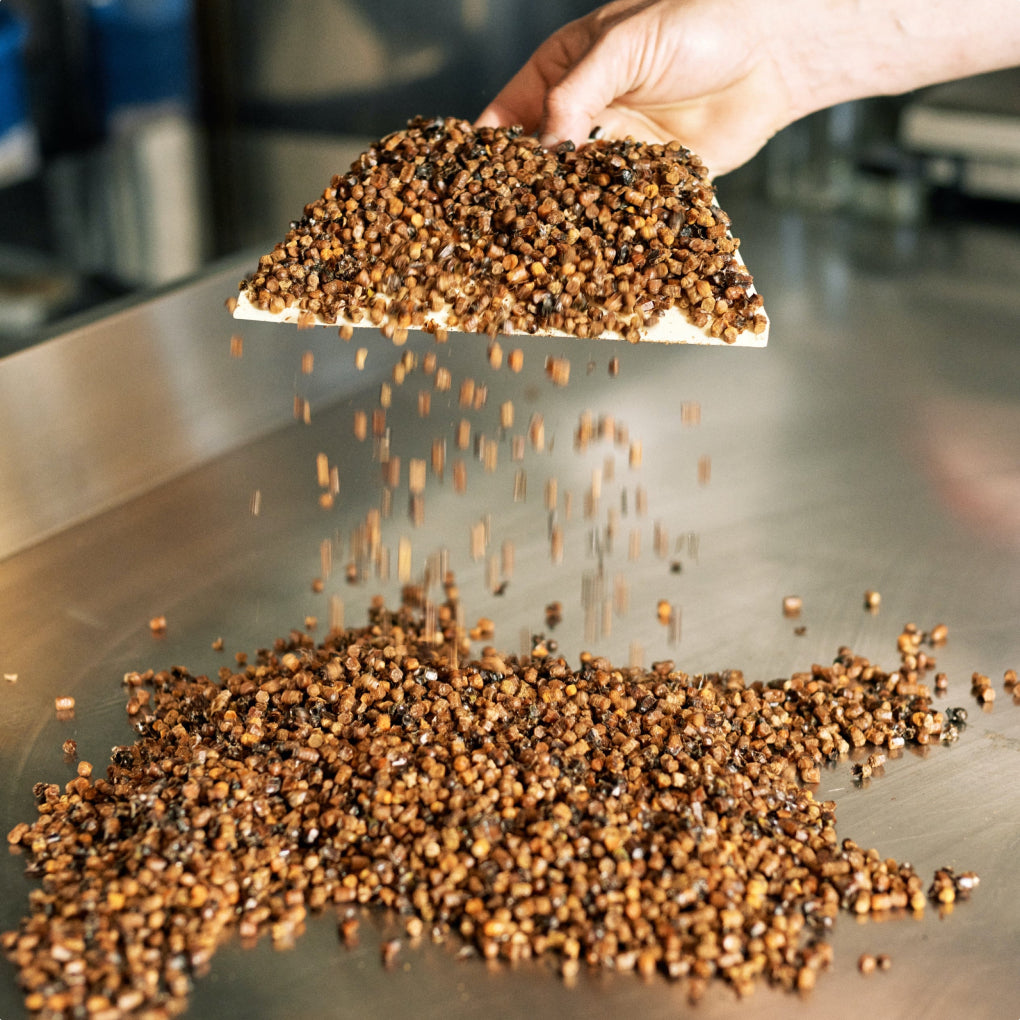 Bienenbrot (Bio) - Mein Honig