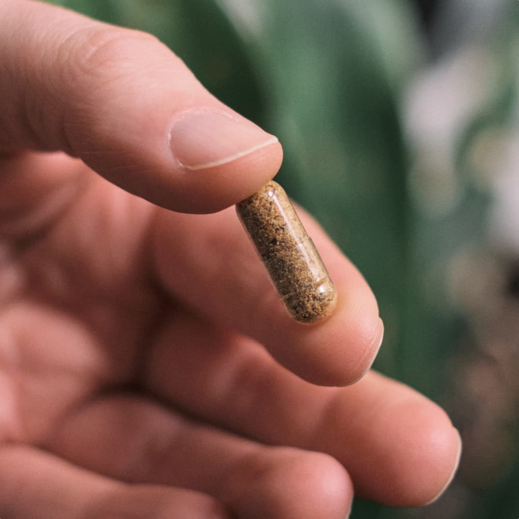 Mein Honig - Bio Imkerei - Kapseln gefüllt mit Bienenbrot und Propolis - Natürliches Nahrungsergänzungsmittel - Größenvergleich