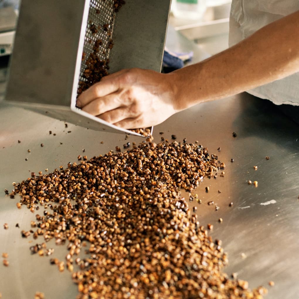 Mein Honig - Bio Imkerei - Kapseln gefüllt mit Bienenbrot und Propolis - Natürliches Nahrungsergänzungsmittel - Bienenbrot sortieren
